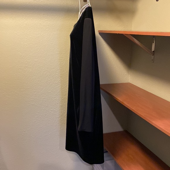 Black Velvet Dress with Sheer Sleeves - Picture 6 of 8